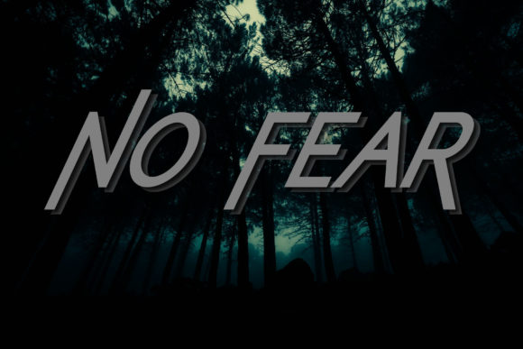 Make Your Mark with the No Fear Font: A Maker’s Guide to Bold Typography