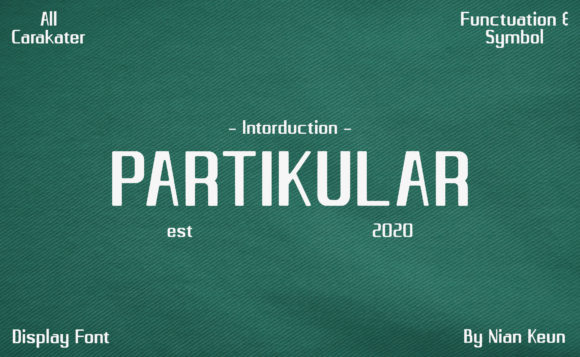 Partikular: A Minimal Display Font for Modern Web Design
