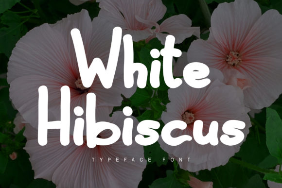 White Hibiscus: A Display Font That Elevates Campaign Visuals